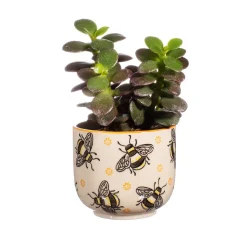 Sale Sass and Belle Busy Bees Small Planter