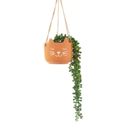 Online Sass and Belle Cat's Whiskers Terracotta Hanging Planter