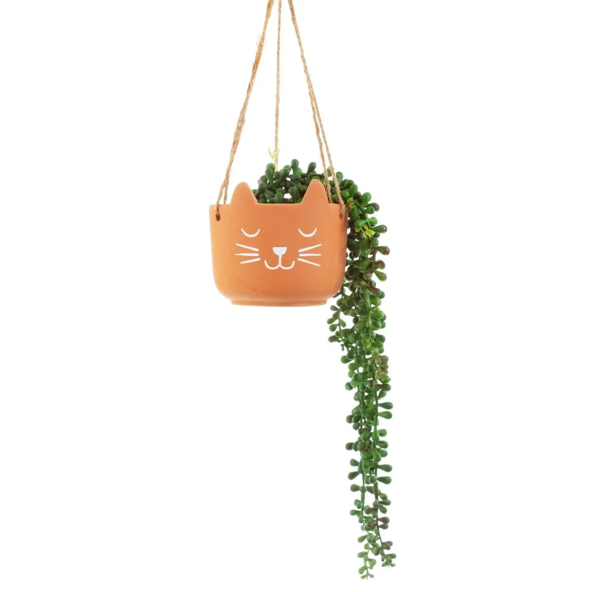 Online Sass and Belle Cat's Whiskers Terracotta Hanging Planter