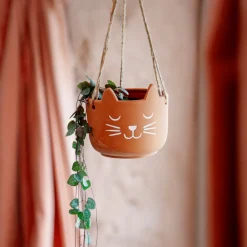 Online Sass and Belle Cat's Whiskers Terracotta Hanging Planter