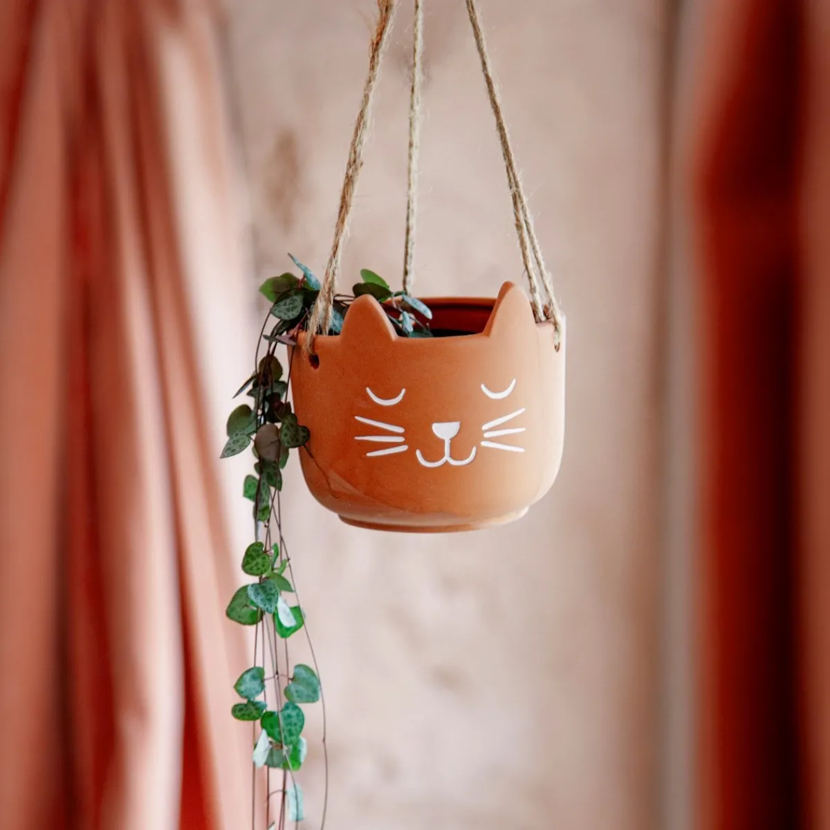 Online Sass and Belle Cat's Whiskers Terracotta Hanging Planter