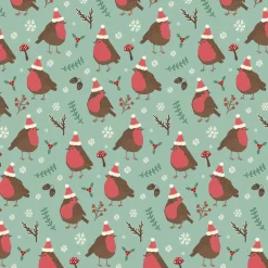 Clearance Sass and Belle Christmas Robin Wrapping Paper
