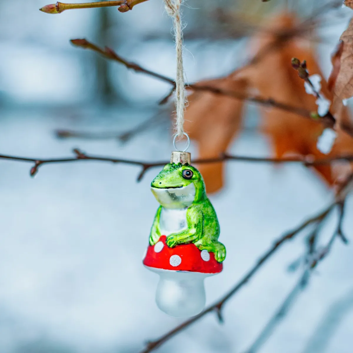 Outlet Sass and Belle Frog on a Mushroom Shaped Bauble