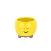 New Sass and Belle Happy Planter