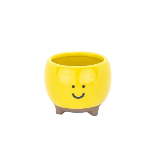 New Sass and Belle Happy Planter