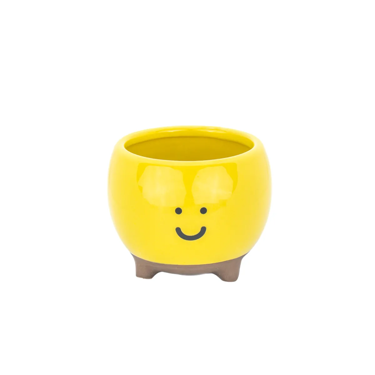 New Sass and Belle Happy Planter