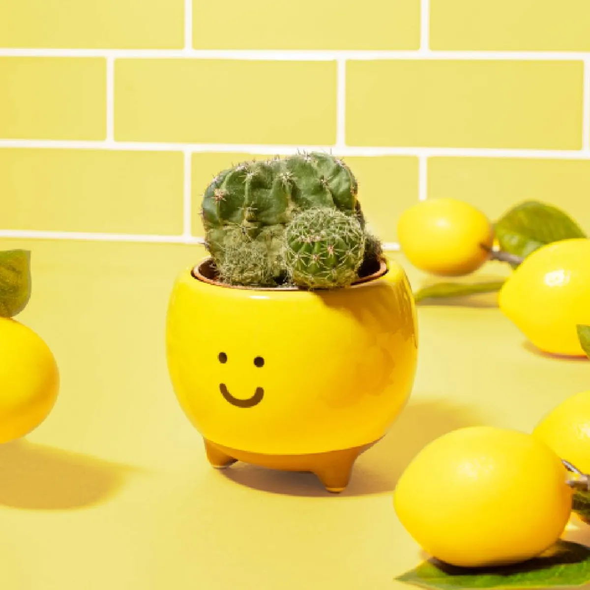 New Sass and Belle Happy Planter