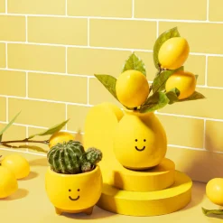 New Sass and Belle Happy Planter