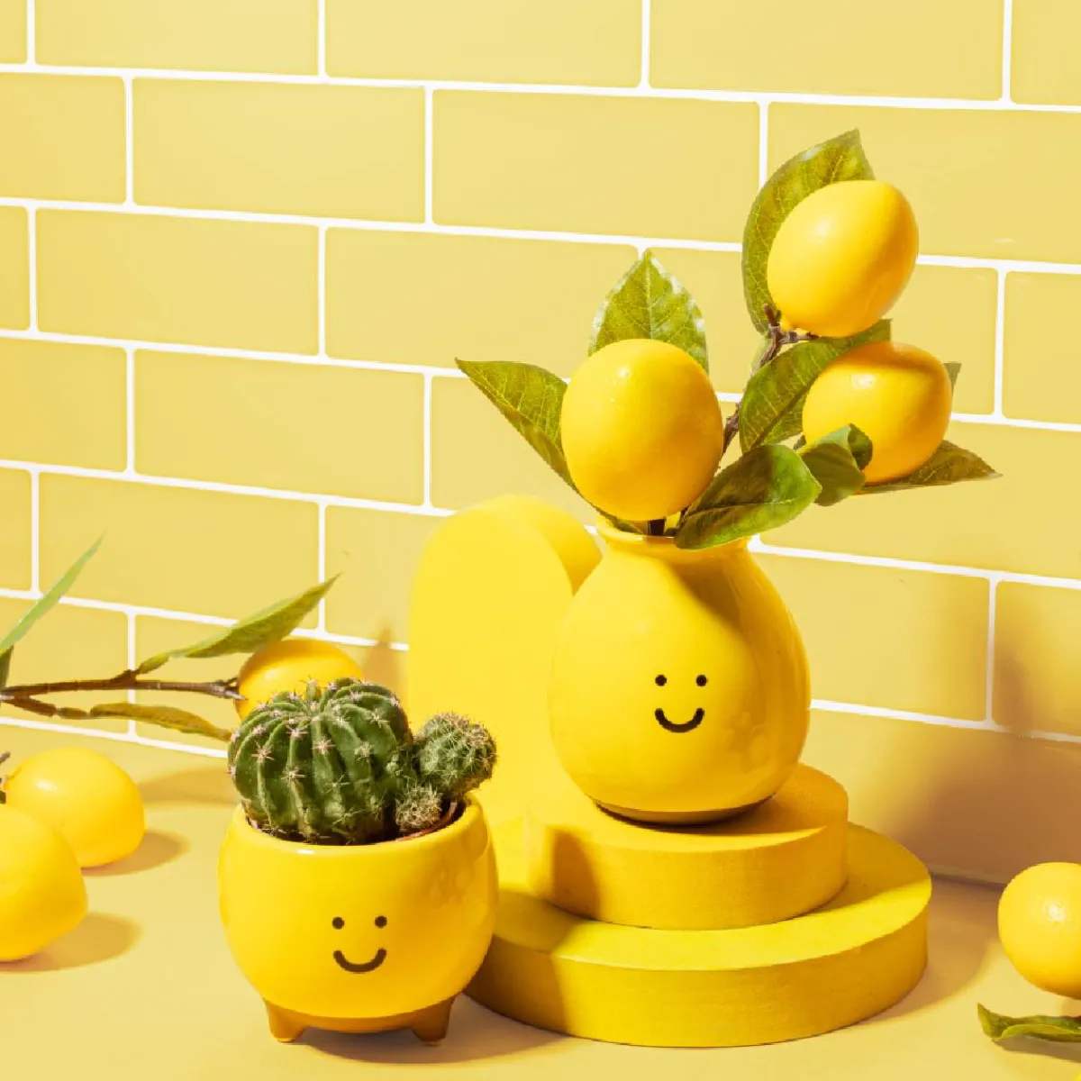 New Sass and Belle Happy Planter