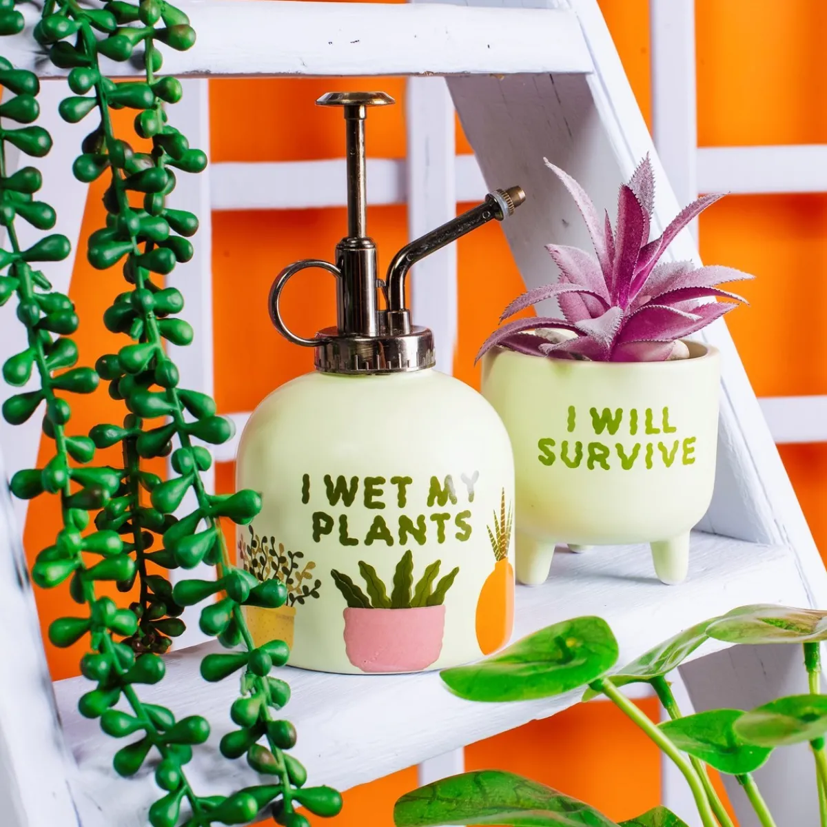 Best Sass and Belle I Wet My Plants Mister