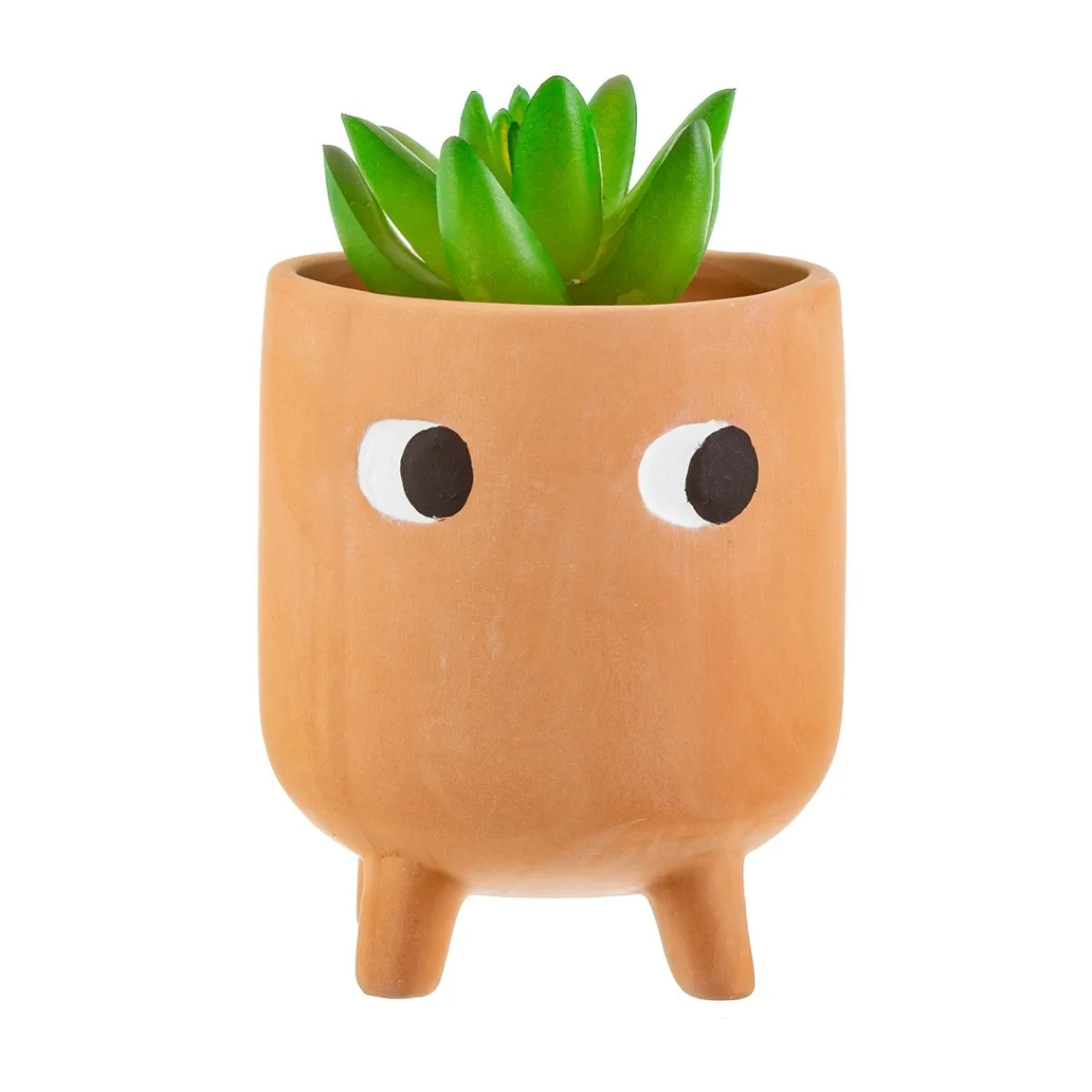 Outlet Sass and Belle Little Leggy Terracotta Planter