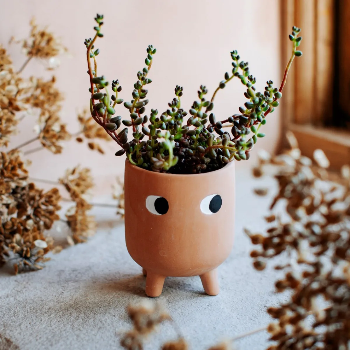 Outlet Sass and Belle Little Leggy Terracotta Planter