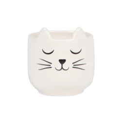 Sass and Belle Mini Cat's Whiskers White Planter