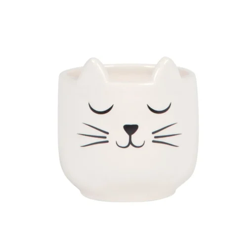 Sass and Belle Mini Cat's Whiskers White Planter