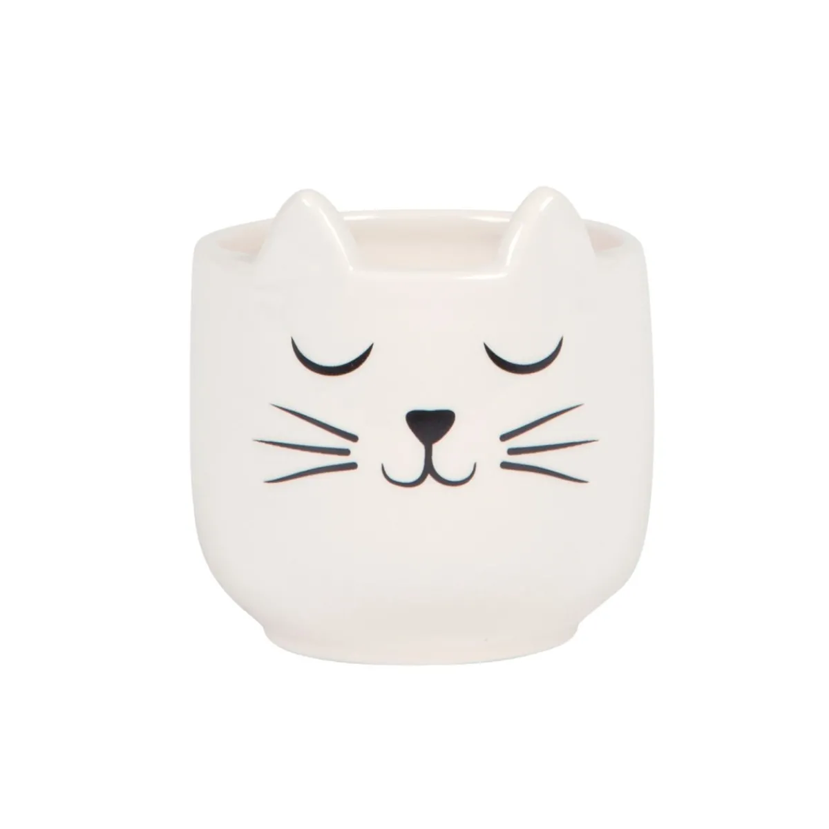 Sass and Belle Mini Cat's Whiskers White Planter