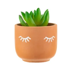 Hot Sass and Belle Mini Eyes Shut Terracotta Planter