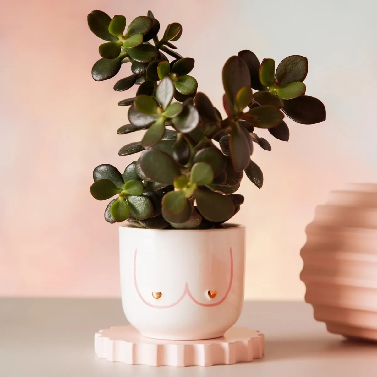 Hot Sass and Belle Mini Girl Power Boobies White Planter