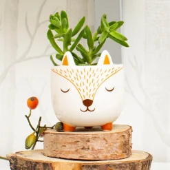 Online Sass and Belle Mini Woodland Fox Planter