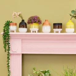New Sass and Belle Mojave Glaze Terracotta Planter