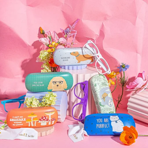 Clearance Sass and Belle Mushroom Glasses Case
