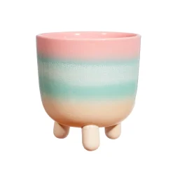 Hot Sass and Belle Pastel Ombre Leggy Planter Large