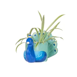 New Sass and Belle Peacock Mini Planter
