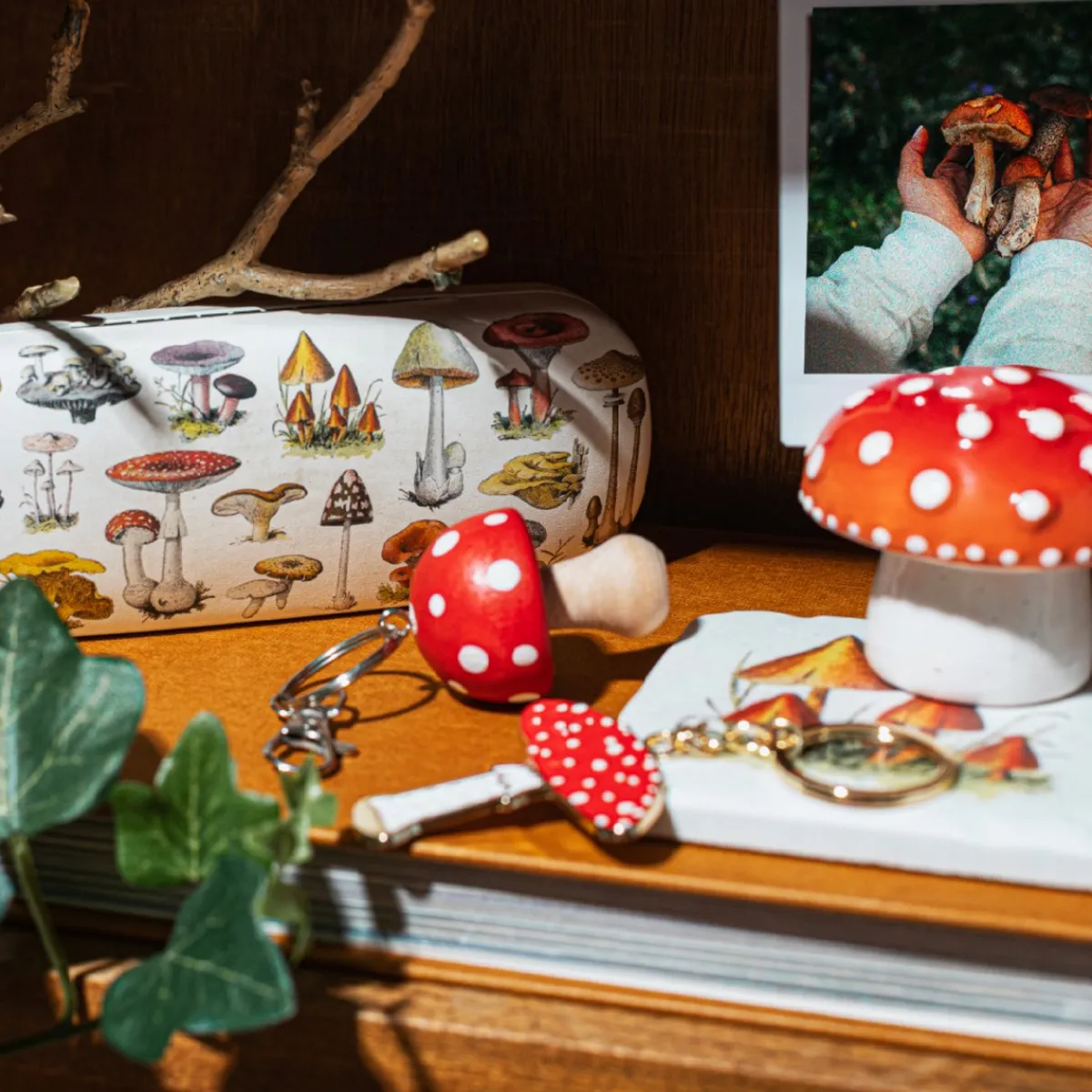 Outlet Sass and Belle Vintage Mushroom Glasses Case