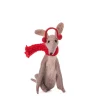 Online Sass and Belle Whippet Felt Decoration